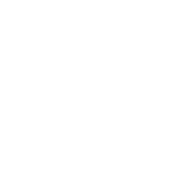 Otter Spirit